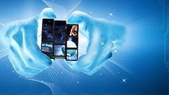 品牌巧借電商達人種草，智鵲網強勢助攻互聯網銷售